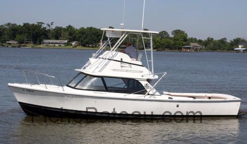 Bertram 31 Flybridge Cruiser fiche technique et avis